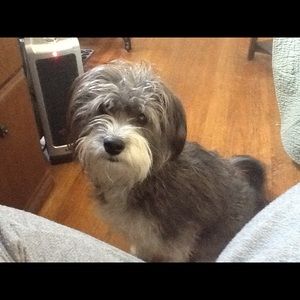 Meet your Posher, Sharon